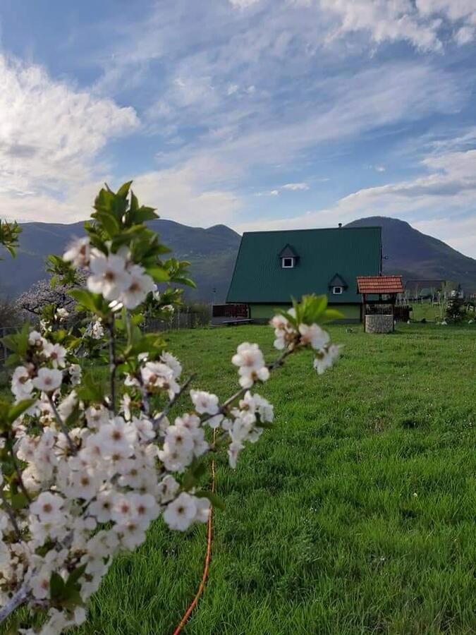 Апартаменты Villa Jasikovac Беране-21