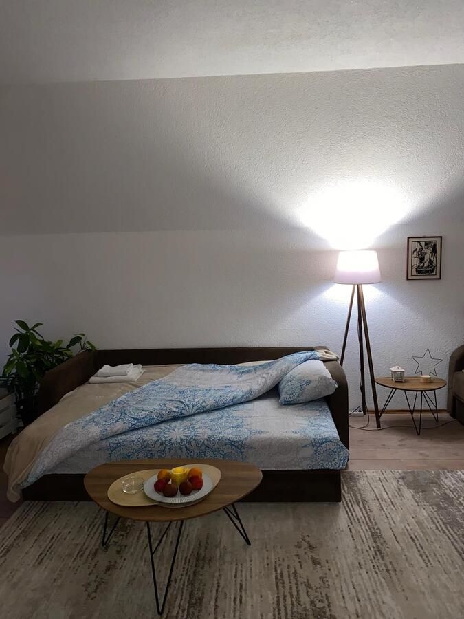Апартаменты Villa Jasikovac Беране-33