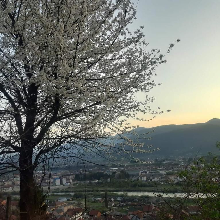Апартаменты Villa Jasikovac Беране-52