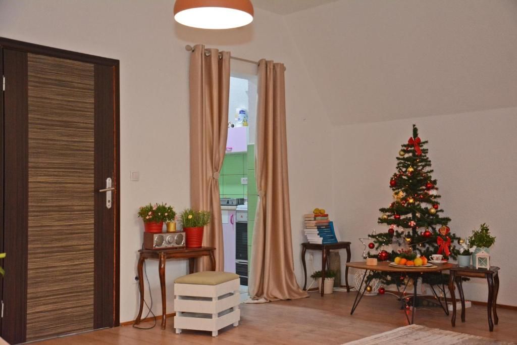 Апартаменты Villa Jasikovac Беране-77