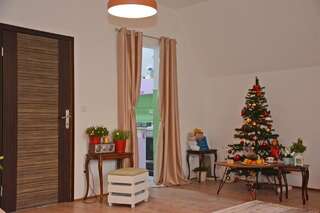Апартаменты Villa Jasikovac Беране Апартаменты с 1 спальней-30