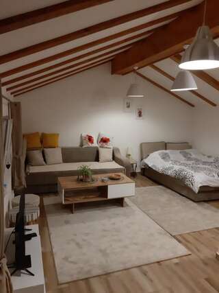 Апартаменты Villa Jasikovac Беране-4
