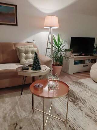 Апартаменты Villa Jasikovac Беране Апартаменты с 1 спальней-57