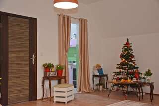 Апартаменты Villa Jasikovac Беране Апартаменты с 1 спальней-63