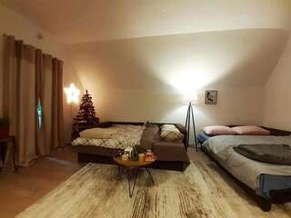 Апартаменты Villa Jasikovac Беране Апартаменты с 1 спальней-75