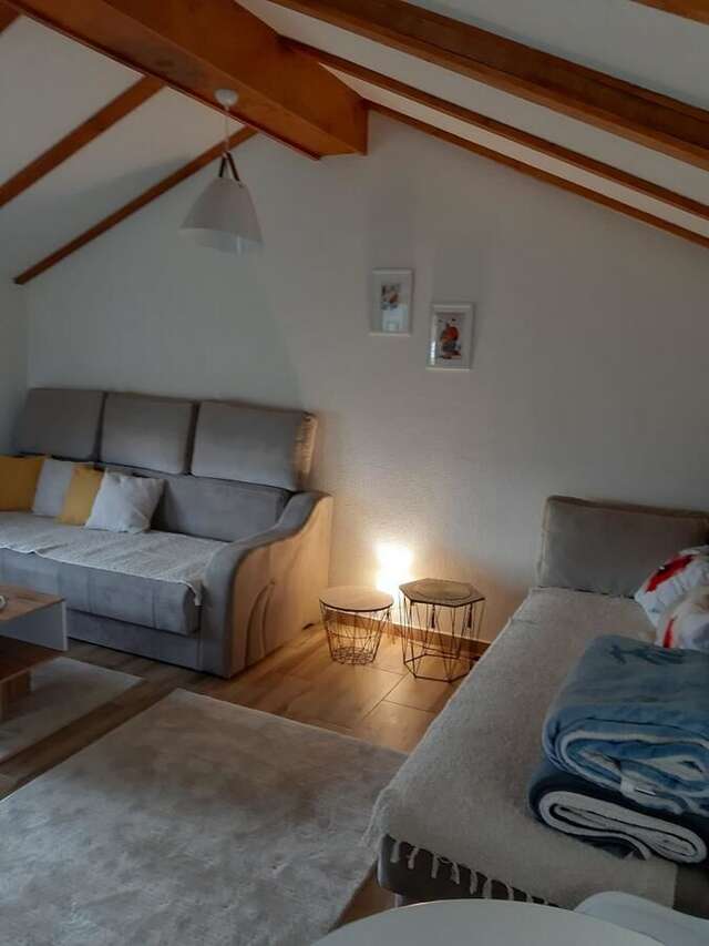 Апартаменты Villa Jasikovac Беране-12
