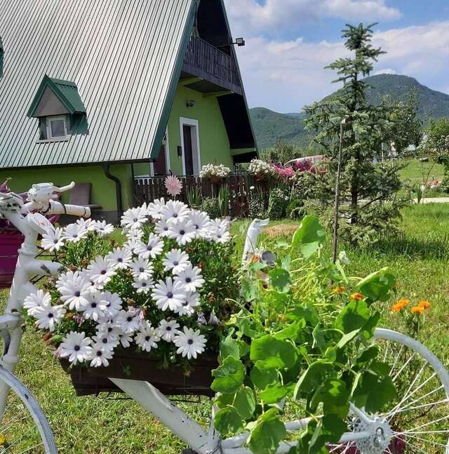 Апартаменты Villa Jasikovac Беране-17