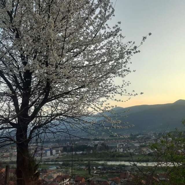 Апартаменты Villa Jasikovac Беране-21