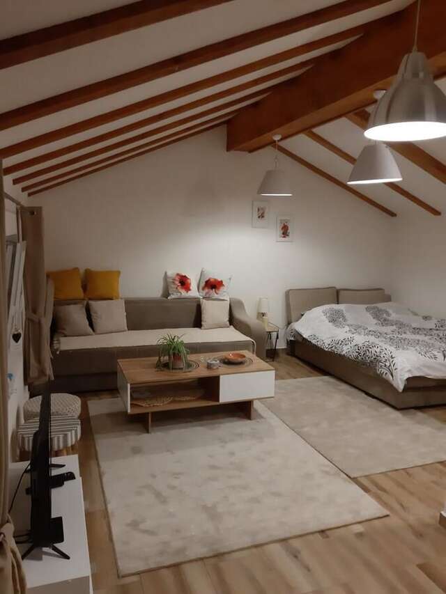 Апартаменты Villa Jasikovac Беране-7