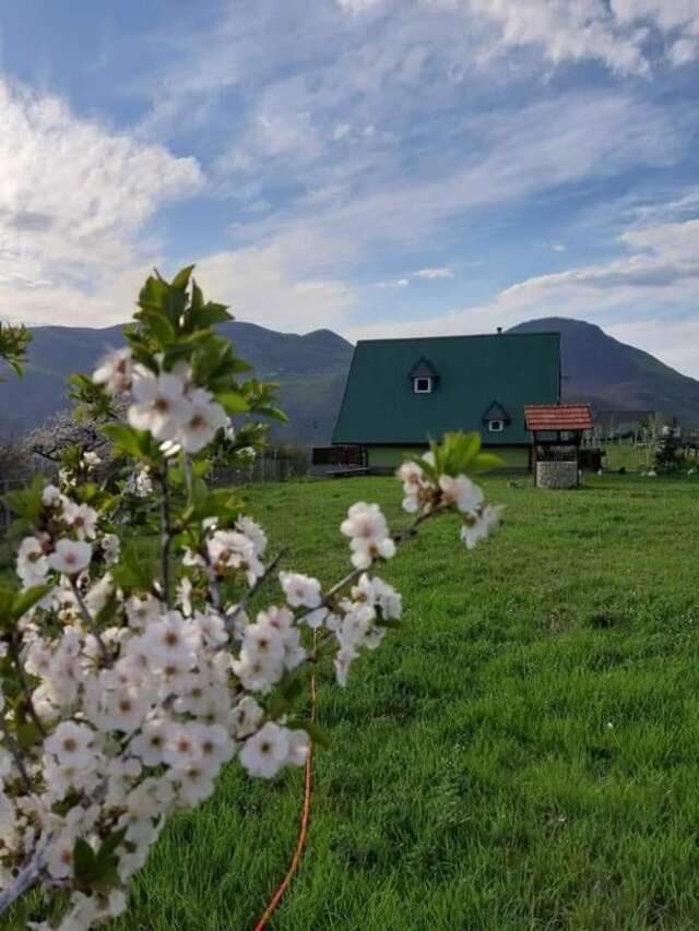 Апартаменты Villa Jasikovac Беране-52
